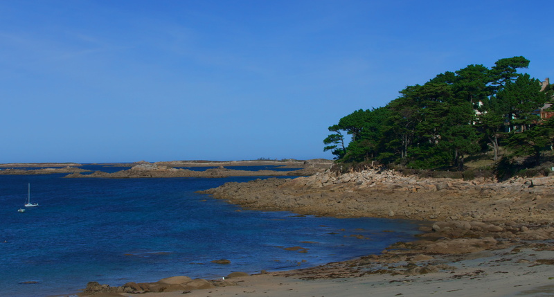 brittany, tranquility, scenics - nature, non-urban scene, nature, pleumeur-bodou, bretagne, rocky coastline, tree, no people, beauty in nature, beach, water