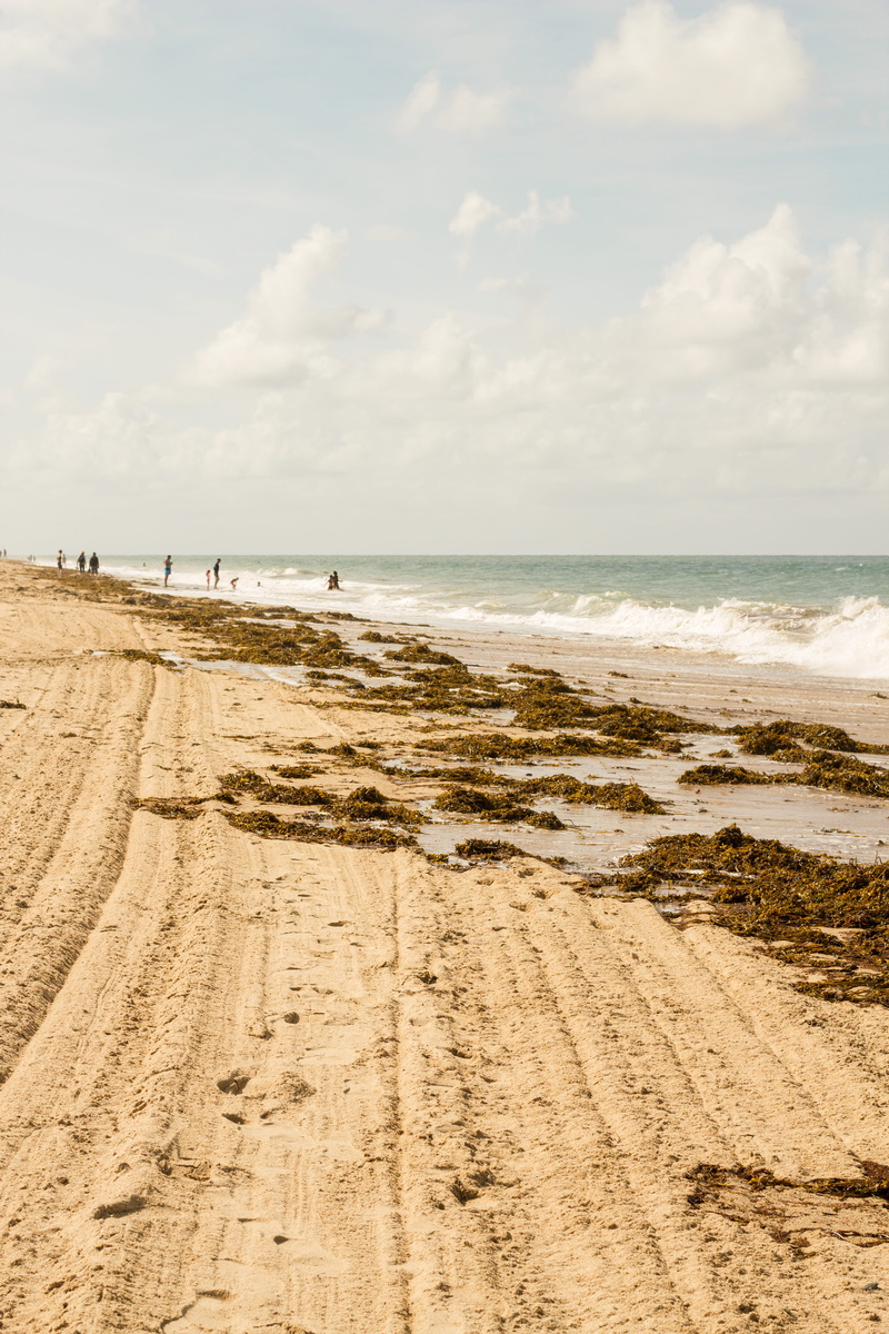 human, day, normandie, non-urban scene, ground, shoreline, sky, cloud - sky, nature, idyllic, breathe, horizon over water, outdoors, scenics - nature, manche