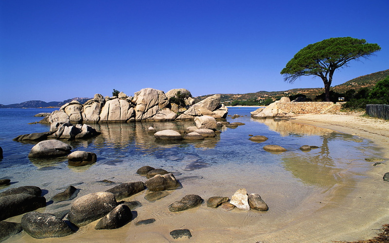 clear sky, sky, land, formation, tree, water, non-urban scene, tranquil scene, plant, gray, tranquility, Scenery, day, rock, green, plage, beauty in nature