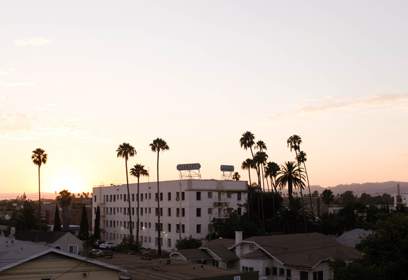 4K, travel destinations, united states, residential district, palm tree, motor vehicle, koreatown, car, city, tropical climate, sunset, architecture, copy space