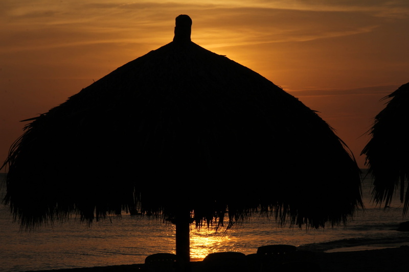 tree, 2K, De, roof, Cielo, land, scenics - nature, thatched roof, tranquil scene, water, tranquility, plant, sunset, built structure, puesta de sol, no people