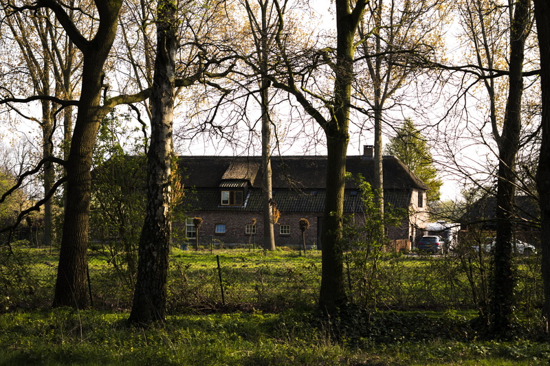 no people, cottage, hut, landscape, eindhoven, tree trunk, building exterior, growth, shelter, residential district, old, building, grass, tradicional