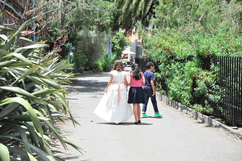 growth, full length, plant, palm tree, women, group of people, tree, spring, green color, walk, fashion, trees, subtropical, lifestyles, day, outdoors