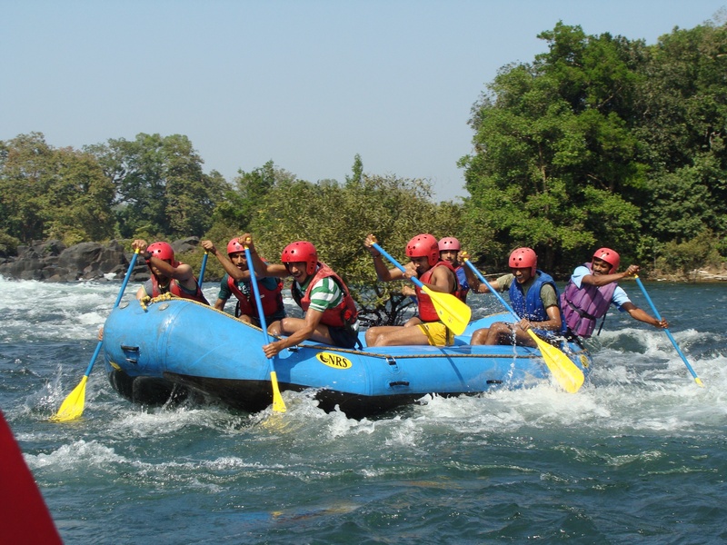 life jacket, real people, leisure activity, water, rafting, nautical vessel, safety, inflatable, people, river rafting, 2K, tree, men, outdoors, group of people