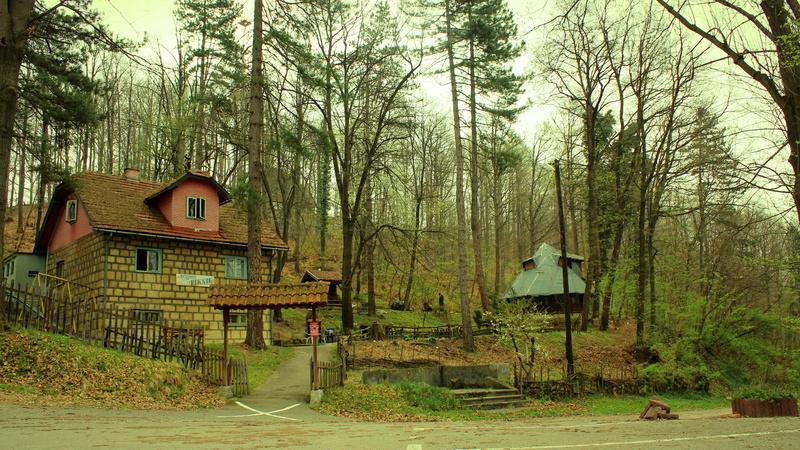 building, tourism, tranquility, outdoors, growth, plant, tree, tree trunk, green color, balkan, house, destination, travel, forest, day, tranquil scene