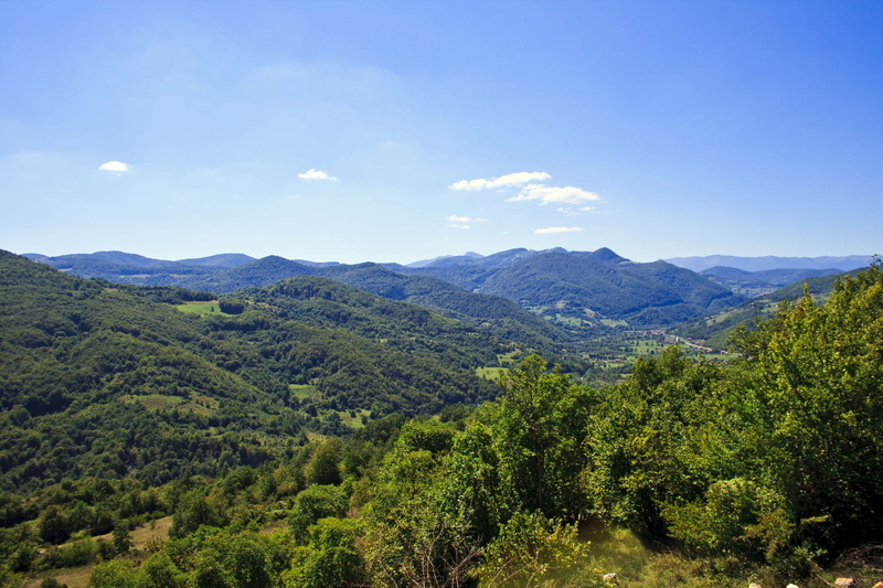 land, balkan, idyllic, europe, non-urban scene, day, tranquil scene, nature, landscape, green color, environment, eastern bosnia, forest, 4K, growth, tranquility