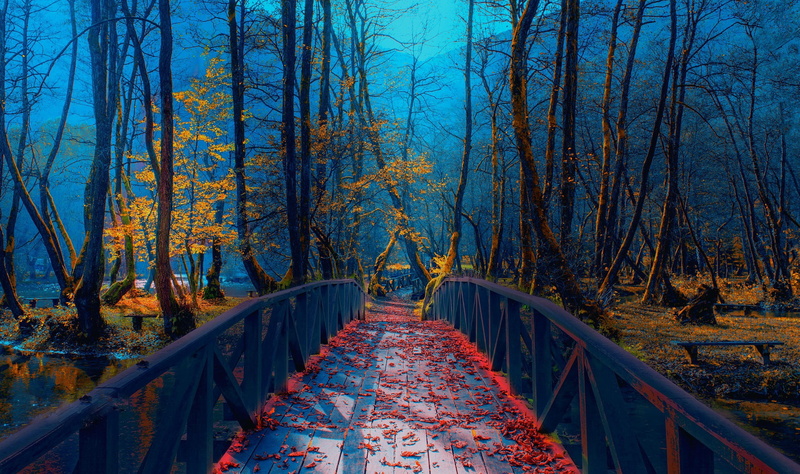 river, Park, autumn, foliage, 1080P, bridge, Bosnia, Mevludin Sejmenovic