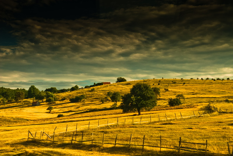 fields, gray, field, clouds, grass, yellow, rural Scene, sky, landscape, farm, summer, tuscany, outdoors, colors, 4K, tree, trees, meadow, worm, scenics