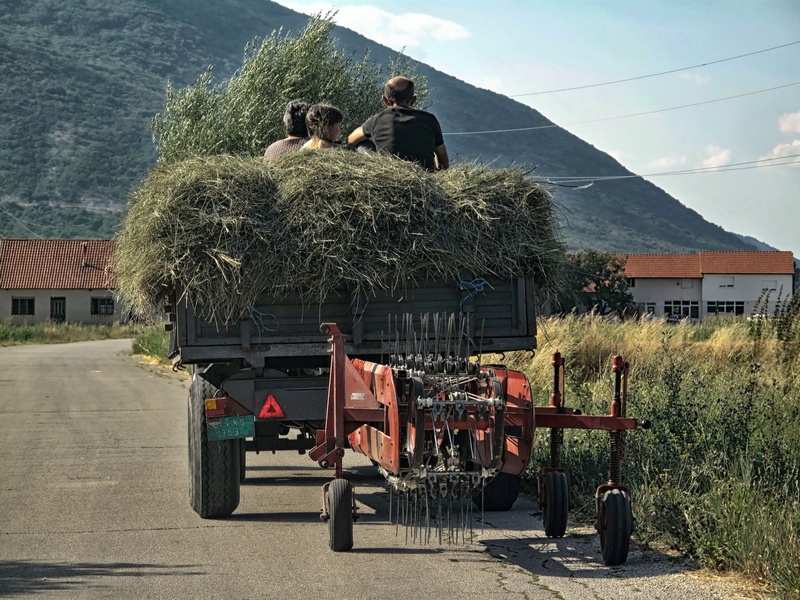 4K, outdoor, standing, day, agriculture, countryside, nature, real people, country, adult, mode of transportation, sunlight, rural, people, outdoors, built structure