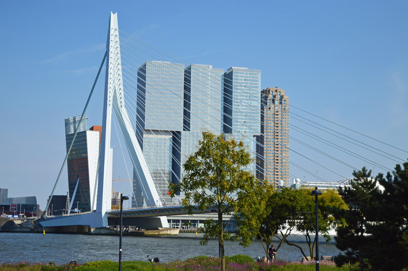 4K, built structure, modern, city, office building exterior, architecture, outdoors, clear sky, netherlands, tree, bridge, nederland, skyscraper, building exterior