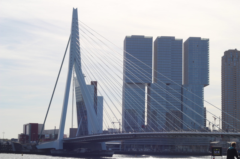 office, nature, office building exterior, skyscraper, sky, bridge, building exterior, 5K, city, transportation, building, architecture, modern, erasmus bridge