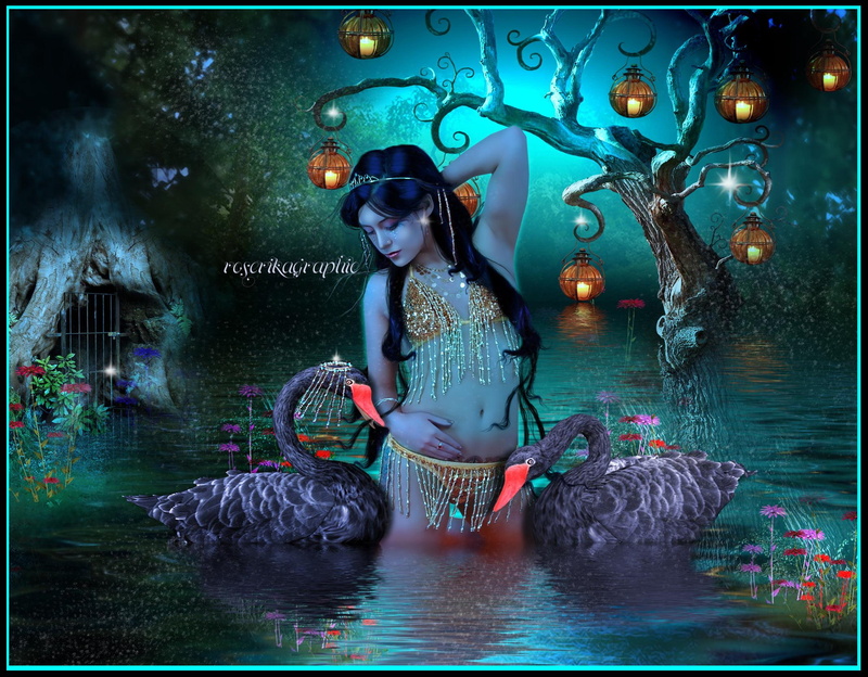 swans, sweet, lips, cottage, angel, pretty, 1080P, black, flowers, lanterns, hair, women, butterfli, fairies, digital art