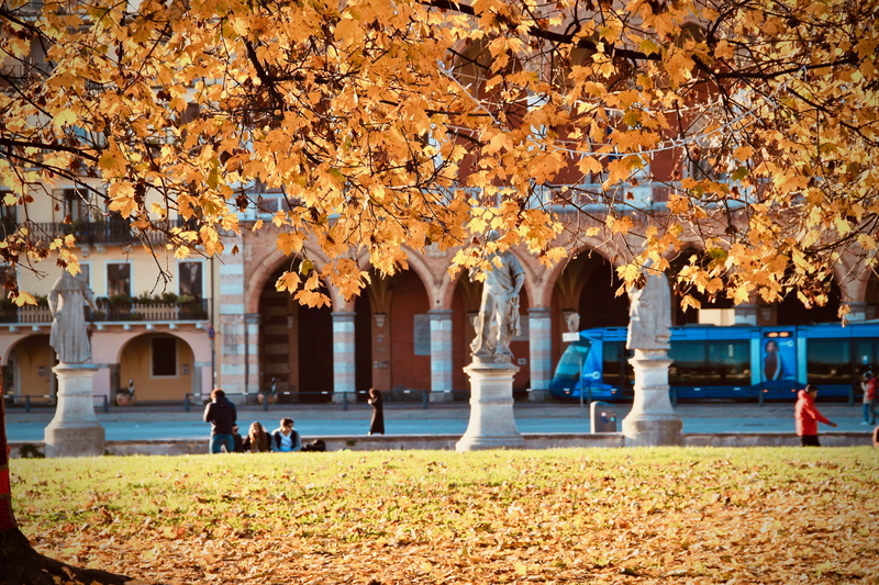 arch, autumn, building, building exterior, outdoors, fall landscape, leaf, change, italy, nature, real people, day, architecture, plant, park, men, plant part