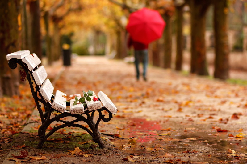 umbrella, Adios, wooden, care, goodbye, bench, park benches, frame, flower, people, Autumn, metal, white, chair, 1080P, rose, black