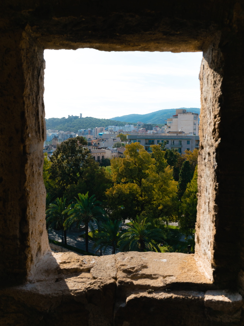 daylight, stone, window, history, mountain, view, palma de mallorca, mallorca, building, building exterior, majorca, 4K, ancient civilization, tree, sky