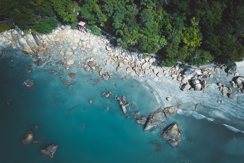 non-urban scene, eye, scenics - nature, seashore, plant, leisure activity, environment, sea, bird, water, shore, lifestyles, swimming, rock - object, day