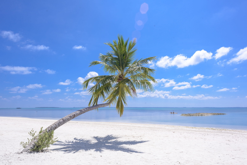scenery, nature, oceanside, exotic, oceanshore, beauty in nature, seascape, palm tree, scenic, sand, scenics - nature, tranquility, clouds, shore, ocean
