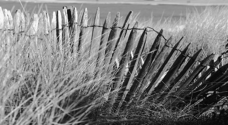 ocean, nature, boundary, side, land, grass, tranquil scene, protections, landscape, seaside, tranquility, france, fence, rural scene, beauty in nature