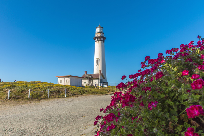 sunlight, built structure, plant, light station, lighthouse, clear sky, building, nature, flower, flowering plant, oceanside, tower, no people, blue, california