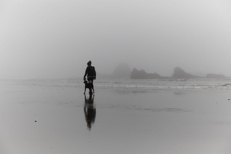 coastline, nature, sunset, dog, summer, man, travel, water, 8K, walking, beach walk, vacations, people Traveling, lifestyles, canine, outdoors, landscape