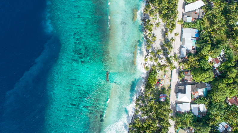 plant, motion, landscape, building exterior, view, scenic, coastline, birds eye view, water, swimming pool, seashore, outdoors, ocean, coast, sport, environment
