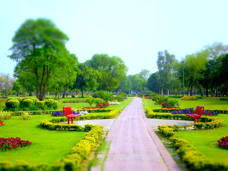 flowers, dream park, 1080P, nature, photography, park, dream, nature and landscapes