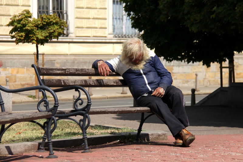 adult, 2K, architecture, casual clothing, sleeping, leisure activity, outdoors, sitting, contemplation, hairstyle, bench, real people, nature, branch