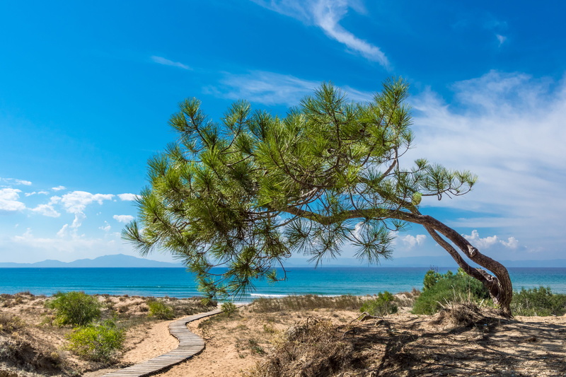 non-urban scene, sky, tree, growth, mediterranean, beauty in nature, idyllic, water, land, tranquility, peloponneses, horizon over water, outdoors, no people
