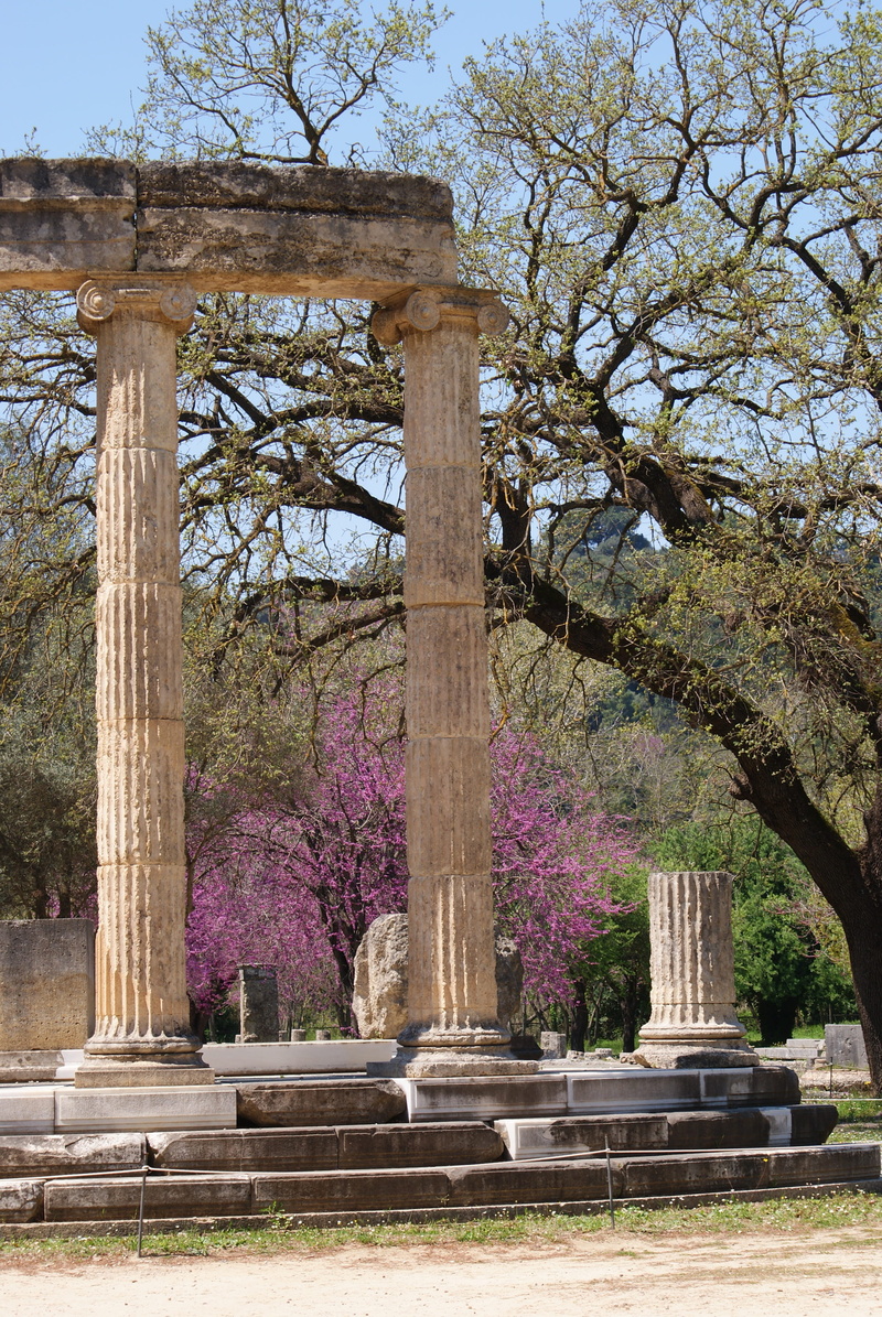 antique, beauty in nature, built structure, greece, sanctuary, sky, nature, outdoors, tree trunk, historical, flowering plant, pillars, flower, bench, unesco