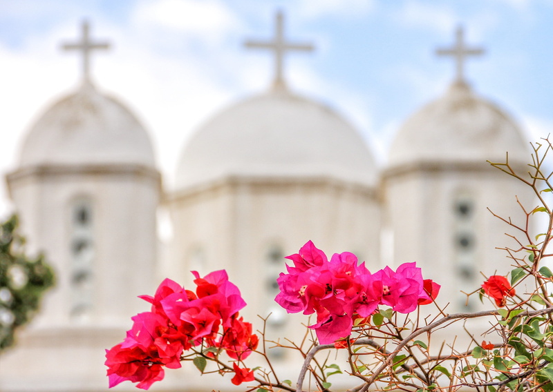 building exterior, travel, nature, outdoors, pink color, blossom, pink, bloom, no people, peloponnese, built structure, flower, bougainvillea, greece, travel destinations