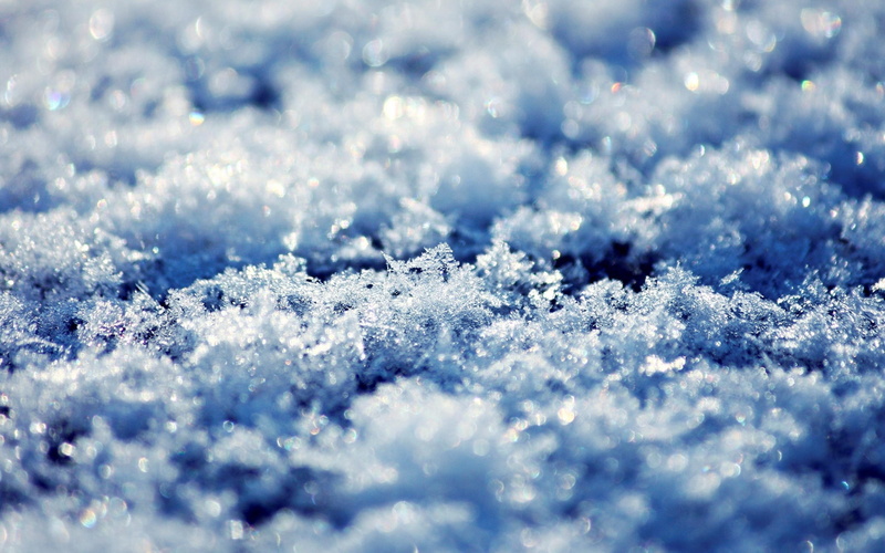 flower, ice, crystalline, 4K