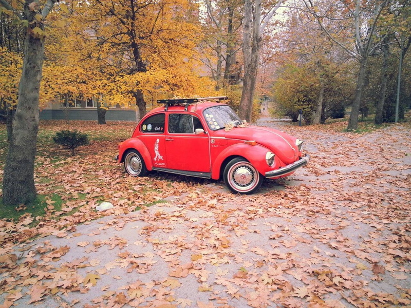 Volkswagen Beetle, 720P, car