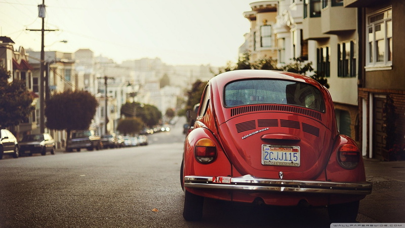 variant, beetle, fusca, kombi, bus, 1080P