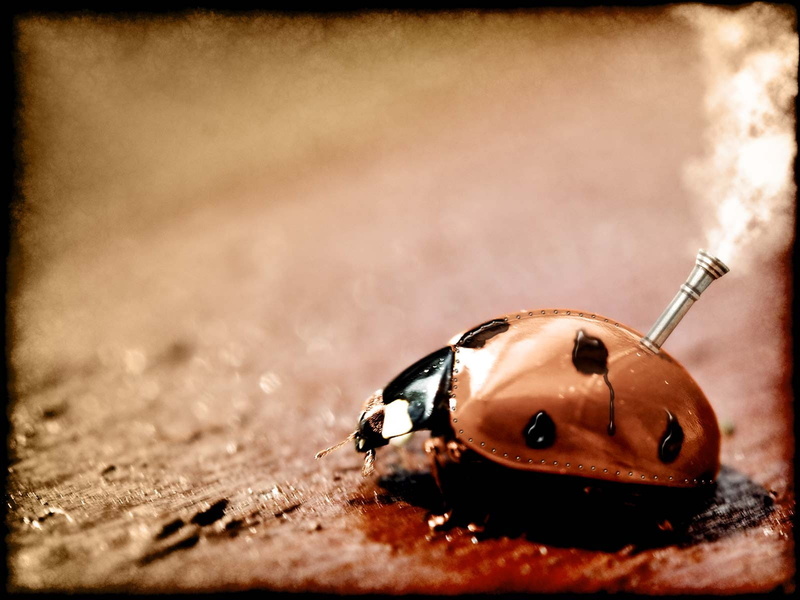 steampunk, 720P, ladybugs