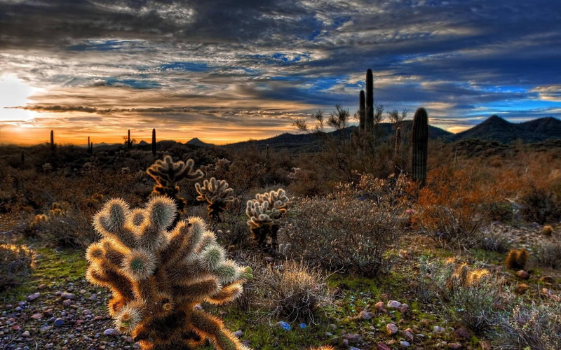 clouds, gallery, desert, deserts, picture, 1080P, landscapes