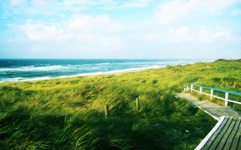 picture, gallery, landscapes, sea, grass, 720P