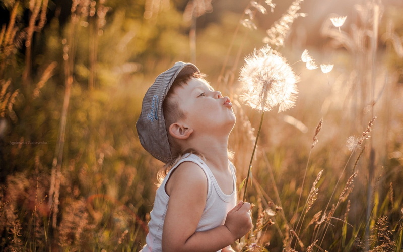 summer, children, lights, sunset, 720P, dandelion