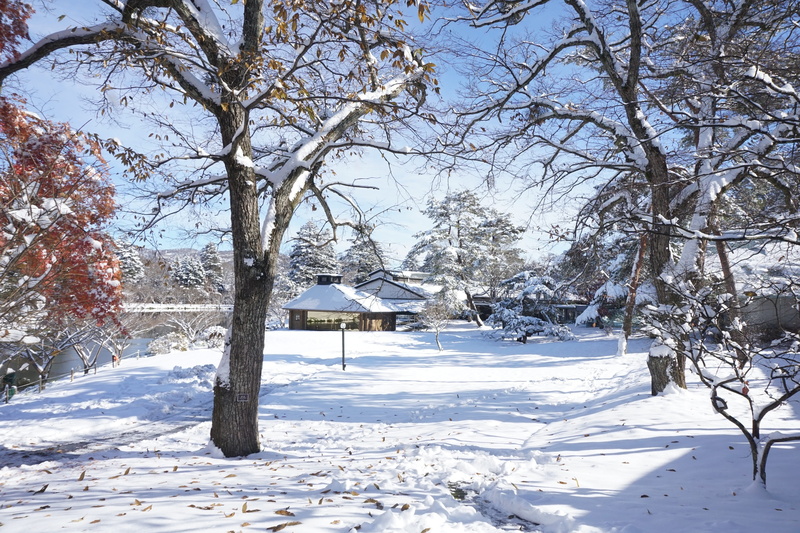 sunlight, North, Karuizawa, cold temperature, scenics, cold, land, beauty in nature, built structure, bare tree, rural Scene, frost, weather, field, extreme weather
