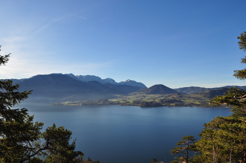 no People, summer, Water, scenics - nature, attersee, tree, coniferous tree, sky, austria, nature, non-urban scene, reflection, forest, blue, beauty In Nature