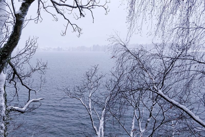 bare tree, 2K, weather, watercraft, outdoors, sankt wolfgang im salzkammergut, water, waterfront, vessel, austria, branch, nature, day, transportation