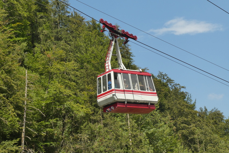 red, growth, 2K, rail transportation, mode of transportation, tree, cable car, ebensee, land, nature, day, cable, salzkammergut, green color, plant, cable car feuerkogel