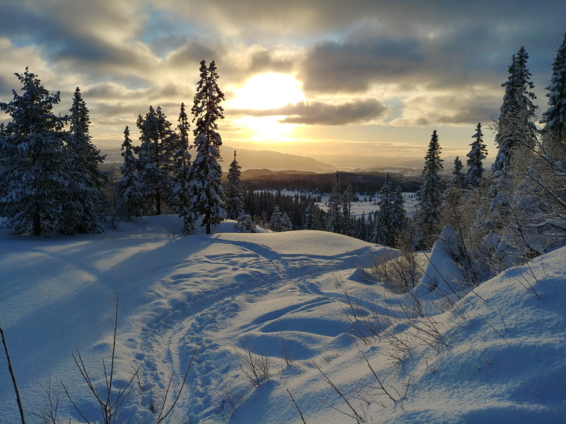 tranquil scene, environment, beauty in nature, landscape, trekking, tree, 4K, pine, non-urban scene, Norway, snowcapped mountain, winter, sunset, scenics - nature