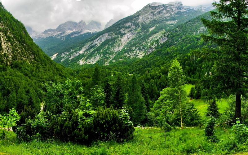 no people, green, mountain range, sky, environment, tree, 1080P, green color, foliage, mountain, forest, tranquil scene, tranquility, beauty in nature
