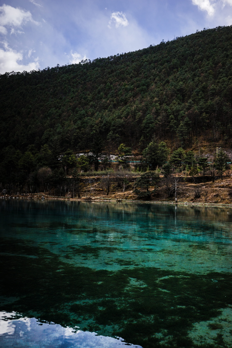 tranquility, lake, trees, sea, near, wilderness, tranquil scene, scenics - nature, shoreline, lijiang, sky, mountain, day, 5K, non-urban scene, plant