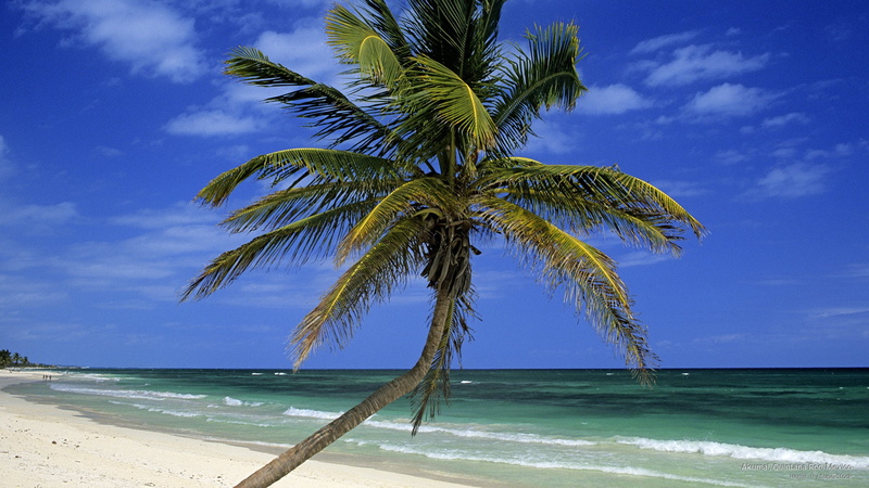 2K, quintana, roo, akumal, mexico, Beaches