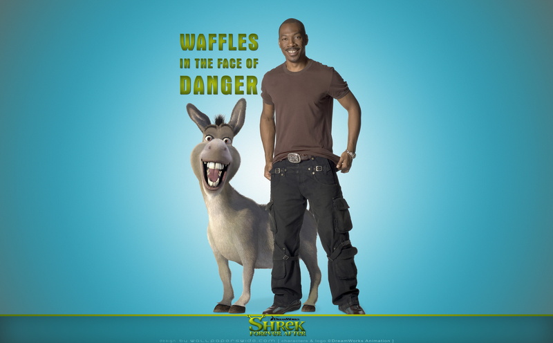 shrek forever after, pet owner, leisure activity, eddie murphy, domestic animals, pets, eddie murphy as donkey, forever, shrek forever after, eddie murphy as donkey