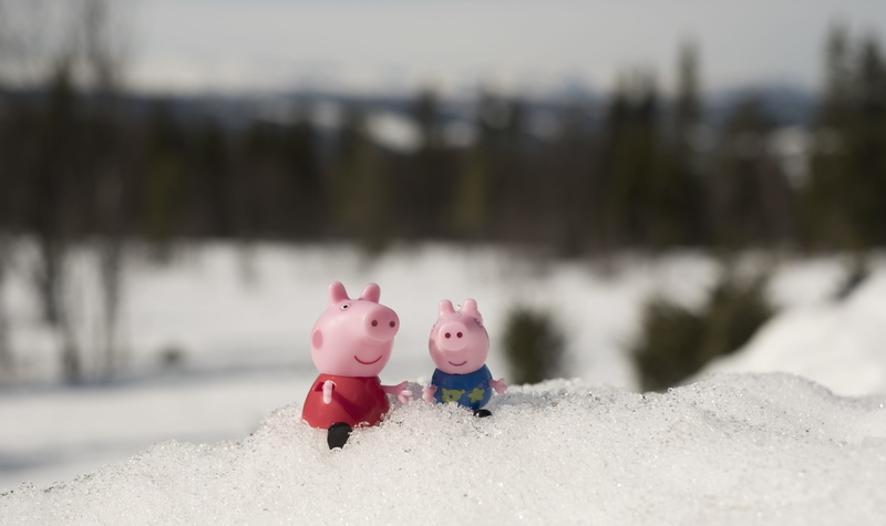 george pig, peppa pig, creativity, investment, cold temperature, human representation, piglet, day, piggy bank, animal, nature, view, close-up, 5K, piggy