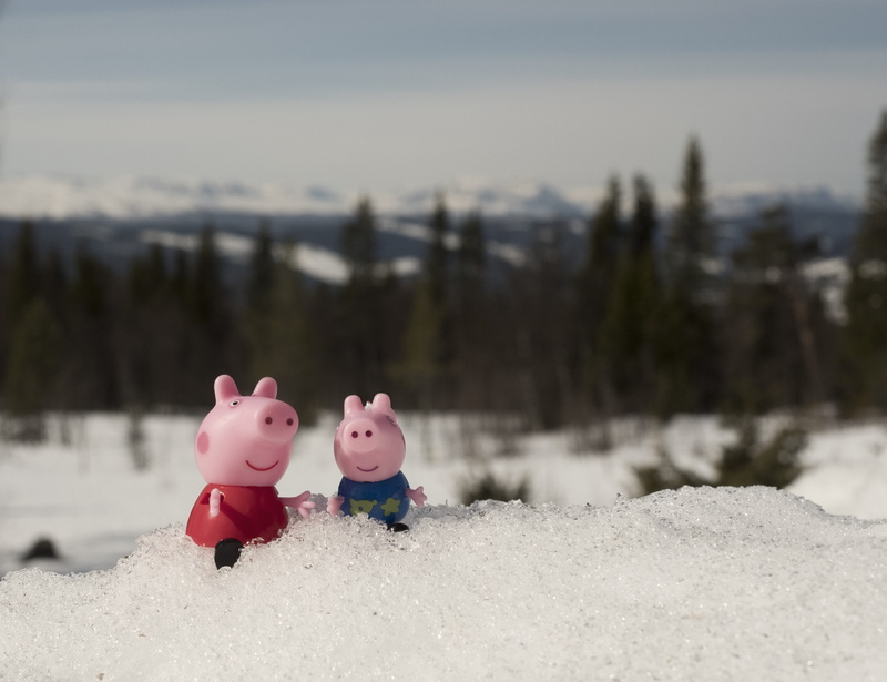 figure, scenics - nature, piggy, winter, representation, human representation, pig, peppa pig, george pig, cold temperature, warm clothing, 4K, focus on foreground