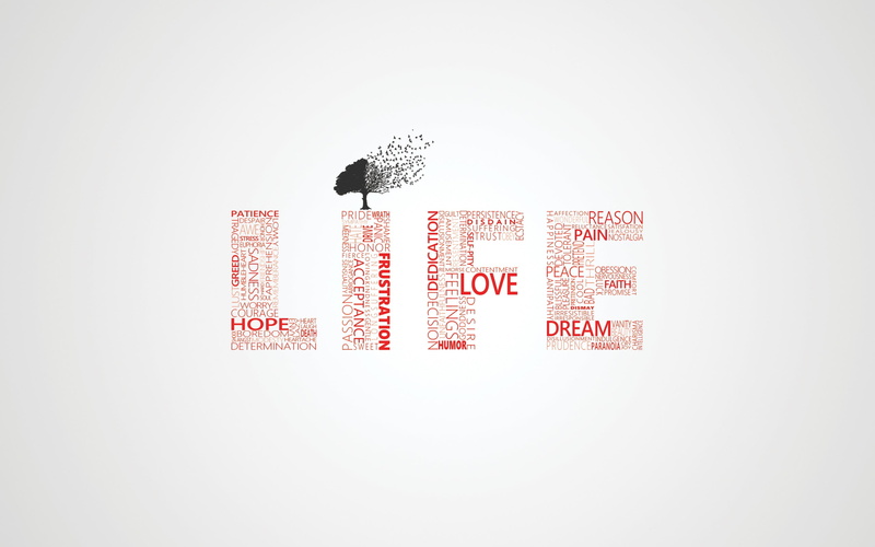 2560x1600, animal wildlife, words, white color, cut out, text, style, business, illustration, design, studio shot, abstract, backgrounds, bird, communication
