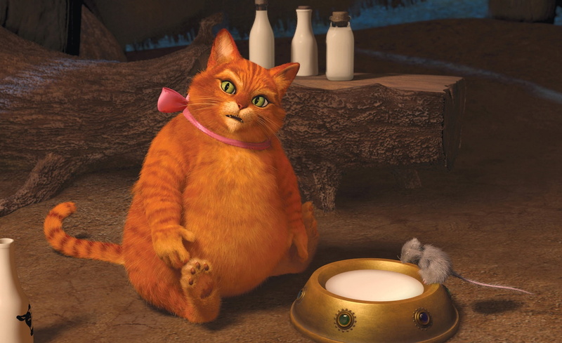 whisker, animal, sitting, cup, pussy, puss, indoors, wood - material, shrek the final chapter, Cartoons, feline, domestic animals, drink, cat, illustration